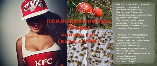 PSILOCYBIN Верея