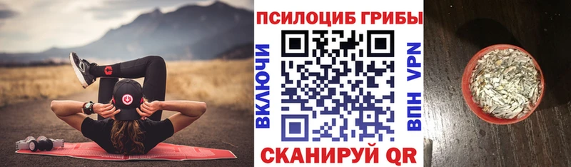 Псилоцибиновые грибы мухоморы  Купить где  Ревда 